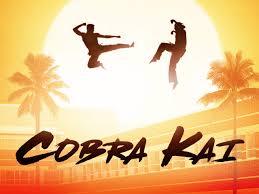 All 3 seasons of #cobrakai are now streaming on @netflix netflix.com/cobrakai. Watch Cobra Kai Season 01 Prime Video