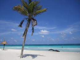 Playa Paraiso Near Tulu Mexico One Of The Most Beautiful Beaches I Have Ever Seen Most Beautiful Beaches Beautiful Beaches Worldwide Travel