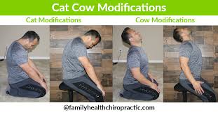 Cat Cow Progressions For Optimal Spine Health Family Health Chiropractic