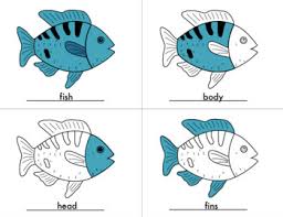 For boys and girls, kids and adults, teenagers and toddlers, preschoolers and older kids at school. Parts Of Fish Coloring Sheets With Control Cards Montessori Distance Learning