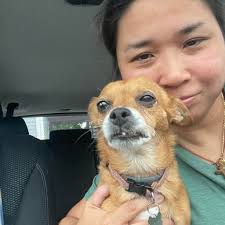 Lock down Braun 🔒