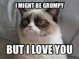 101 Funny I Love You Memes To Share With People You Like Funny Grumpy Cat Memes Grumpy Cat Quotes Cat Quotes Funny