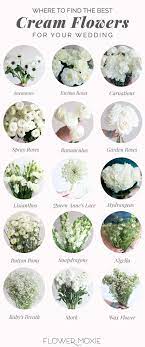 Whatever the case, a bundle of white blooms can represent a fresh new start in your life. Cream And White Wedding Flowers Bulk Fresh Wedding Flowers Wedding Flower Packages White Wedding Flowers March Wedding Flowers