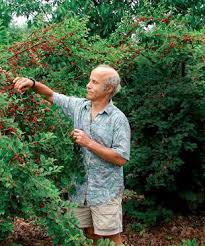 Maybe you would like to learn more about one of these? Ceri Cina Amazing