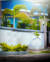 Nature Photoshop Background