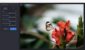 View their personal photography portfolio on pexels →. Blur Image Easily Blur Images With Befunky