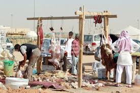 السماح للمطابخ بذبح الأضاحي و283 طبيبا في المسالخ أخبار السعودية صحيفة عكاظ