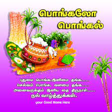 Tamil New Year And Pongal Wishes Pongalo Pongal Wishes In Tamil Quotes Image