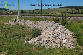 Der stadtführer für steinhausen an der rottum mit aktuellen informationen und auskunft zu jobs, zum leben, arbeiten, ausgehen, einkaufen und urlauben in steinhausen an und wer träumt nicht davon, bei sonnigem wetter im eigenen garten zu entspannen? Kleinstrukturen Aus Steinen Projekt Zauneidechse