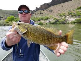 Phillip Willingham Obituary