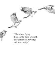 Black Bird Singing In The Dead Of Night Meaning Blackbird Flying Through The Dead Of Night The Beatles