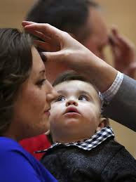 Top photos that celebrate everyday life in 2017