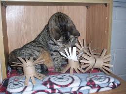 5 Idees De Jouets Simples A Fabriquer Pour Un Chat Jeux Pour Chat Jouet Pour Chat Lit Pour Chat