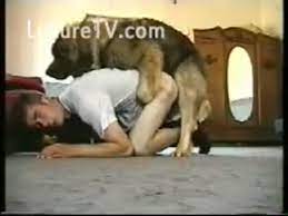 Évidemment, comme tous les animaux, ils ont besoin de boire. Video X Zoo D Un Mec Qui Joue Et Baise Avec Son Chien Luxuretv