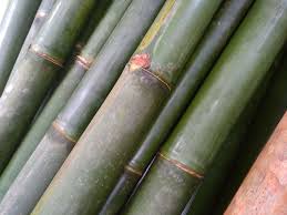 Berikutnya susun bambu tersebut pada bambu panjang seperti halnya tangga. Cara Membuat Tirai Bambu Anak Arsitektur