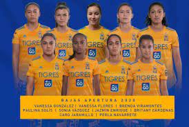 Luego de trifulca que protagonizó la jugadora de tigres, elizabeth ovalle, con la defensora de quiero ofrecerle una disculpa a la afición de tigres femenil por el incidente que hubo por las. Tigres Femenil Anuncia Nueve Bajas Excelsior