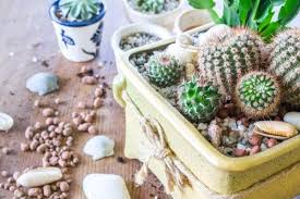 Check spelling or type a new query. Diy Indoor Mini Garden Birchen Grove Garden Centre Your Garden Centre In Kingsbury London