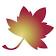 Golden Charter Ltd