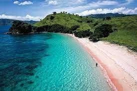 This one is a no brainer. Pink Beach Komodo Island Indonesia S Famous Pink Sand Beaches
