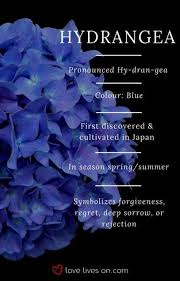Flowers Arrangements Colorful Blue 37 Ideas For 2019 In 2020 With Images Flower Meanings Funeral Flowers Flower Garden Plans