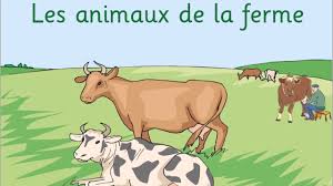 Il existe différents types d'animaux à la ferme pour ceux qui veulent augmenter leur vocabulaire, ce livre est fait pour vous ! Les Animaux De La Ferme Youtube
