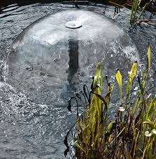 Creation D Un Bassin De Jardin Exterieur Jardinerie A Mios