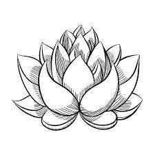 123rf Millions Of Creative Stock Photos Vectors Videos And Music Files For Your Inspiration And Lotus Flower Art Lotus Flower Painting Lotus Flower Drawing