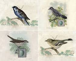 Ac Odyssey Birds Of A Feather Maps Vintage Bird Prints Printable Ella Claire Vintage Birds Bird Prints Free Art Prints