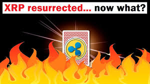 Is there any future of ripple xrp? Xrp Rises From The Crash Now What Ripple 2021 Forecast Jornal Do Bitcoin