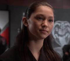 Cobra Kai: Karatêpostagem