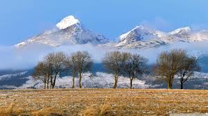 The organization is based in stuttgart, and it was founded in 1949. Hintergrundbilder 1920x1080 Px Feld Landschaft Nebel Natur Slowakei Schnee Schneebedeckten Gipfel Tatra Berge Baume Winter 1920x1080 Coolwallpapers 1279995 Hintergrundbilder Wallhere