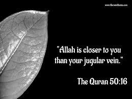 Get wiser with our daily quotes subscribe. Wisdom Of The Qur An