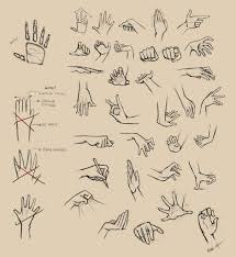 Draw manga the basics of character. Anime Hands