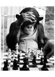 Saya bukan fans berat tayangan 'hitam putih'. Checkmate Prints Allposters Com Animals Black And White Photography Animal Photography