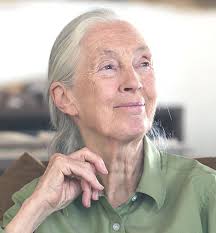 My next great adventure, aged 90, is going to be dying. There's either  nothing or something. If there's nothing, there's nothing, that's it. If  there's something, I can't think of a greater