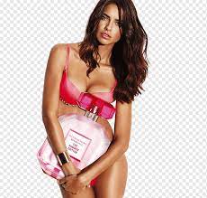 They have their hair done using ghds. Adriana Lima Victoria S Secret Model Fashion Lookbook Adriana Lima Png Pngwing
