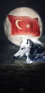 Maybe you would like to learn more about one of these? En Hizli Bozkurt Ve Turk Bayragi Wallpaper