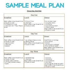 Recommended Diet Plan For Type 2 Diabetes In 2020 Diabetes Prevention Diet Diet Diet Plan Menu