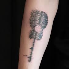 Dumont Fm Veja Todas As Tatuagens Do Cantor Shawn Mendes Here's everyone shawn mendes has been in a rumored relationship with, from hailey baldwin to camila cabello.
