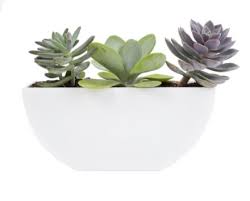 Band ceramic durable sanitary environmental be portable pottery home decoration mult flower pot & bowknot planter. Plant Pots Planters The Home Depot