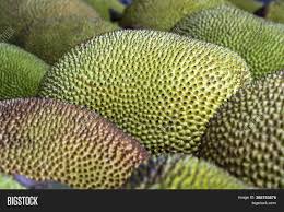Raw Jackfruit Sale On Image Photo Free Trial Bigstock