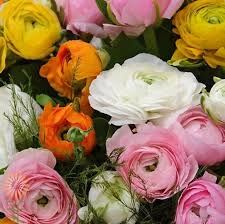 Check spelling or type a new query. Bulk Wholesale Flowers Diy Flowers Wedding Flowers Peach Wedding Flowers Diy Wedding Flowers Wholesale Flowers
