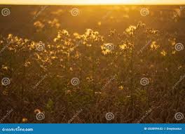 Av4 Us Stock Photos - Free & Royalty-Free Stock Photos from Dreamstime