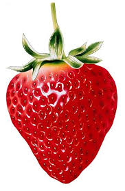 Epingle Par Karina Lopez Sur Plaisir Des Yeux Photos De Fruits Et Legumes Fruits Et Legumes Dessin Fruits