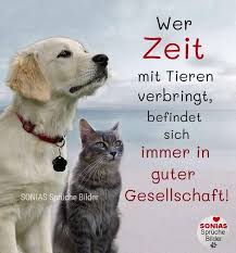 Pin Von Heike Strauss Auf Haustiere Spruche Tiere Hund Zitat Katzenspruche