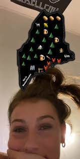 Lilycook