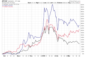 Cbds Stock Projections