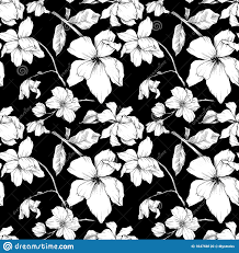 Trova immagini per foto in bianco e nero. Disegni Fiori Sfondo Nero Coloring And Drawing