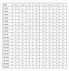 Labrador Height Weight Online Charts Collection