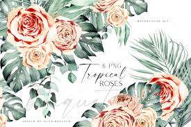 The graphics are a png file, 300 dpi, without background. Boho Tropical Flowers Clipart Watercolor Boho Roses Bouquets Palms By Olga Koelsch Thehungryjpeg Com